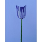Drveno cvijeće i ukrasi - mali - Tulipan 3